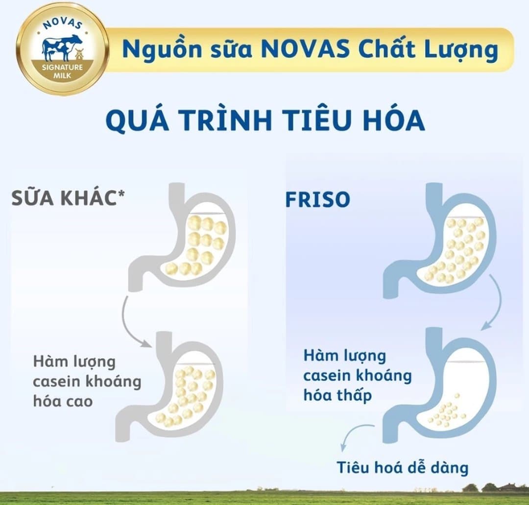 Sữa bầu Friso Mum Gold hương Cam 830g — 2
